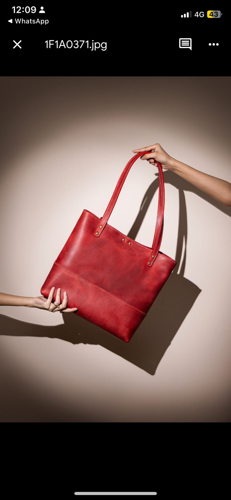 Women’s Everyday Essentials